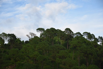 Obraz premium Beautiful picture of Green mountain