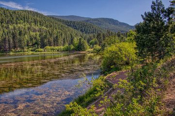 San Isabel National Forest in Colorado