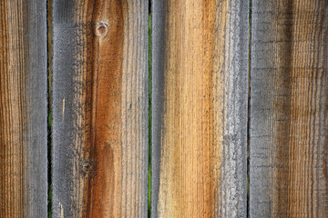 Wooden background. A fragment of a wall made of pine boards in close-up.