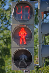 Pedestrian traffic light on the city sidewalk close up