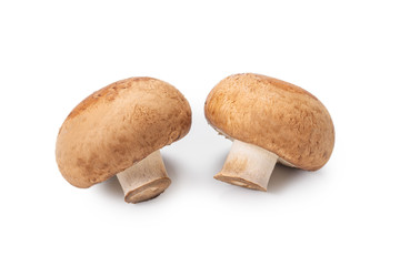 Tasty mushroom isolated on white background.