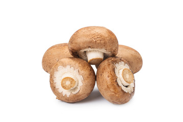 Tasty mushroom isolated on white background.