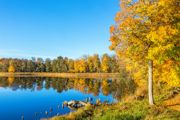 Fototapeta na wymiar Scenic view of a lake in the autumn