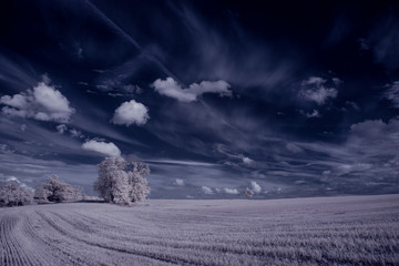 infrared photography - ir photo of landscape with tree under sky with clouds - the art of our world...