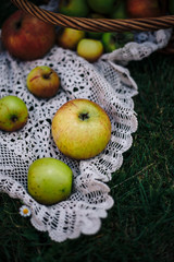Apples in a basket on a meadow. There is still a crocheted blanket in the basket.