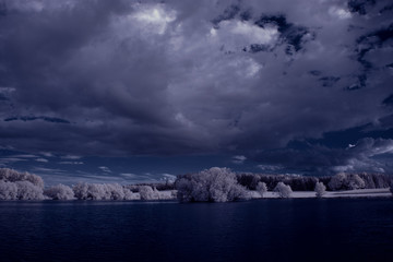 infrared photography - ir photo of landscape with tree under sky with clouds - the art of our world...