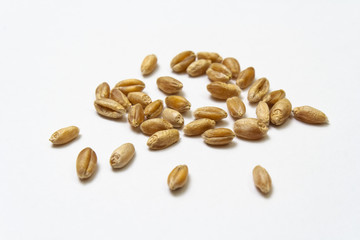 Wheat grains on white isolated background. Pile of cereal grains scattered on the table close-up. Seeds of barley, wheat, oats, rye, triticale macro shooting. Natural dry grain in the center of image