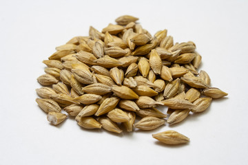 Barley malt on a white background. Heap of cereal grains isolated close up. Seeds of barley, wheat, oats, rye, triticale macro shooting. Natural dry grain in the center of the image
