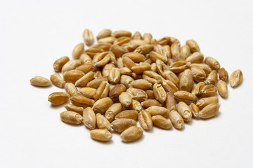 Wheat grains on a white background. Heap of cereal grains isolated close up. Seeds of barley, wheat, oats, rye, triticale macro shooting. Natural dry grain in the center of the image
