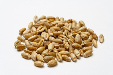 Wheat grains on a white background. Heap of cereal grains isolated close up. Seeds of barley, wheat, oats, rye, triticale macro shooting. Natural dry grain in the throughout the image