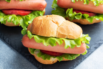 Hot dogs on a concrete grey background. Hot dog with lettuce tomato and sausage. Copy space.