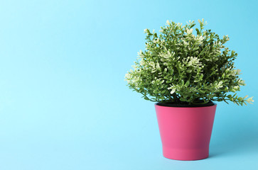 Beautiful artificial plant in flower pot on light blue background, space for text