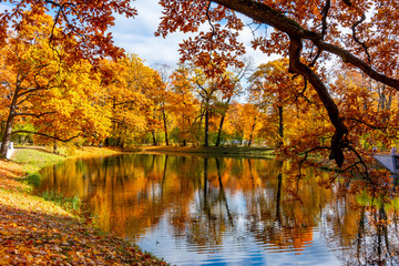 Fototapeta na wymiar Autumn foliage in Alexander park, Tsarskoe Selo (Pushkin), Saint Petersburg, Russia