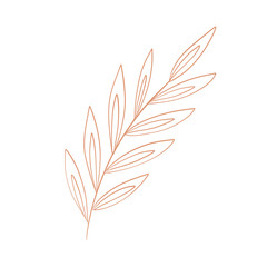 Obraz premium Leaf Background Hand Drawn Illustration 