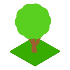 Park tree icon. Isometric illustration of park tree vector icon for web