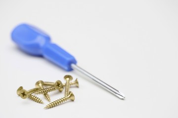 Phillips head screws and screwdriver