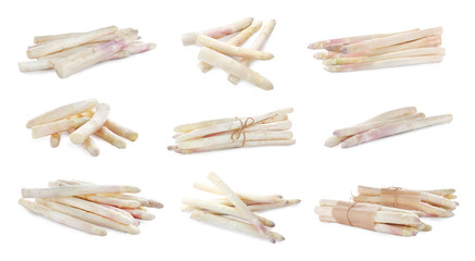 Set with fresh ripe asparagus on white background. Banner design