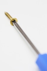 Phillips head screw and screwdriver