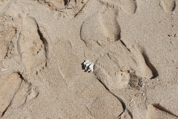 white sands at beautiful watu karang beach in Pacitan, East Java, Indonesia