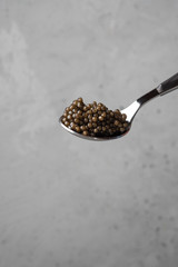 Fototapeta na wymiar Black caviar on a spoon on a grey background.
