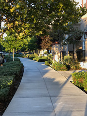 tree, road, autumn, trees, nature, landscape, park, green, fall, path, leaves, season, garden, sky, spring, flowers, leaf, red, summer, grass, yellow, flower, blue, street, plant