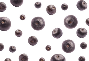 Fresh acai berries falling on white background © New Africa