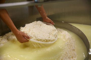 Worker taking curd from tank at cheese factory, closeup