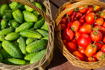 cucumbers and tomatoes in a wicker basket close-up. village eco food home gardening concept.