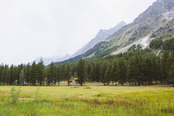Fototapeta na wymiar Beautiful mountain landscape in Val Ferret, Italy.