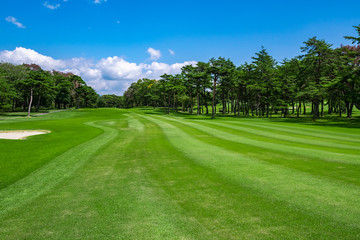 Golf Course with beautiful green field. Golf course with a rich green turf beautiful scenery.