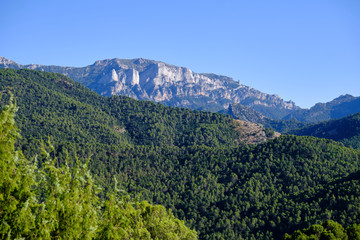 Gran bosque verde con un pico rocoso al fondo en la Sierra de Cazorla, Jaén