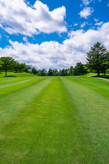 Naklejka premium Golf Course with beautiful green field. Golf course with a rich green turf beautiful scenery.