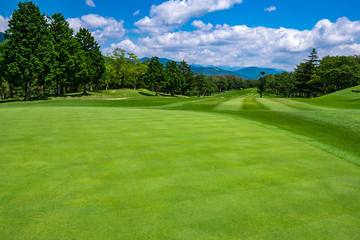 Fototapeta na wymiar Golf Course with beautiful green field. Golf course with a rich green turf beautiful scenery.