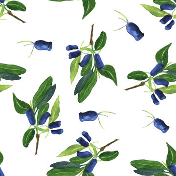 Seamless pattern of honeysuckle branches on white background. Watercolor hand drawn illustration. Perfect for digital paper, cover, wrapping, textile, fabric. Loncera edulis or honeyberry.