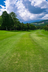 Obraz premium Golf Course with beautiful green field. Golf course with a rich green turf beautiful scenery.