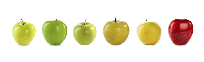 Set of different ripe apples isolated on white. Banner design