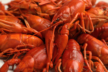 Delicious boiled crayfishes as background, closeup view