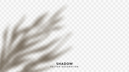 Shadow overlay. Effect light transparent shadow. Realistic creating reflective effect illusions. Overlay for adding scene lighting to your images. Vector illustration.