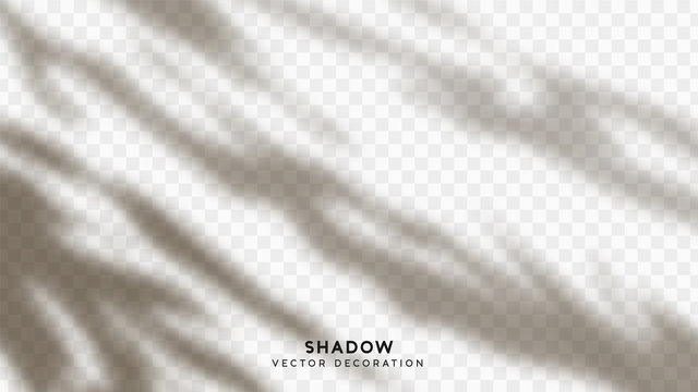 Shadow Overlay. Effect Light Transparent Shadow. Realistic Creating Reflective Effect Illusions. Overlay For Adding Scene Lighting To Your Images. Vector Illustration.