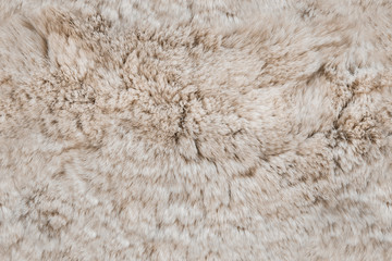 Seamless fur texture