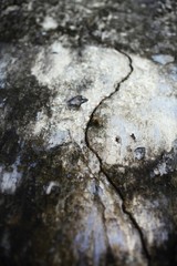 Cracked wall