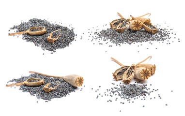 Collage with poppy seeds and dry pods on white background