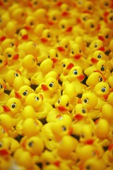 Rubber ducks