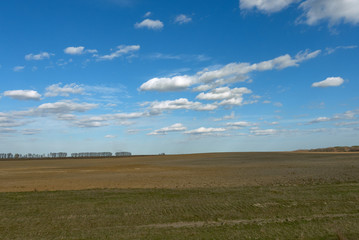 Fototapeta na wymiar Beautiful cloudy sky over farmland. Spring landscape.