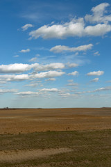 Fototapeta premium Beautiful cloudy sky over farmland. Spring landscape.