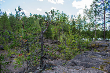Nature