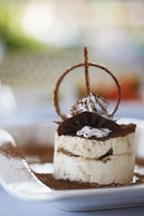 Tiramisu dessert