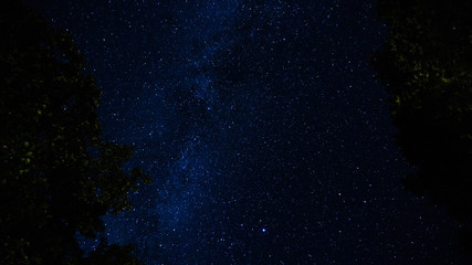 milky way against the sky with silhouettes of trees, summer