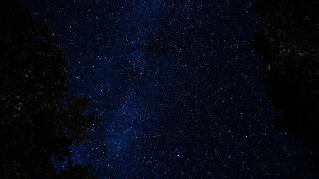 milky way against the sky with silhouettes of trees, summer