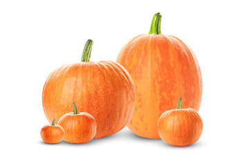 Many fresh ripe pumpkins isolated on white